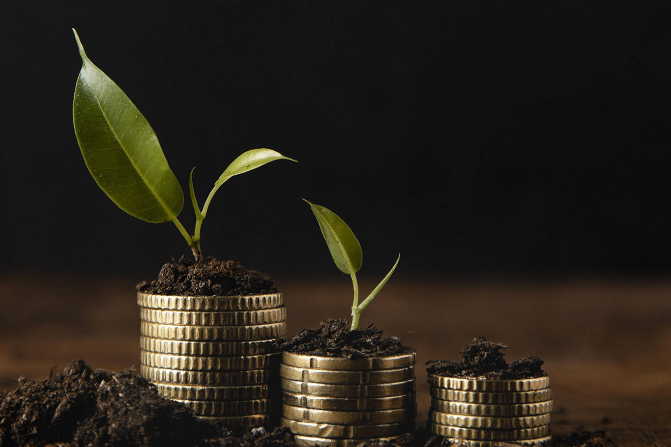2023 witnesses 22% surge in mutual fund SIP inflows � Expert insights