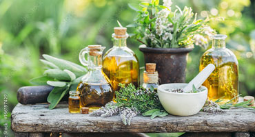 Ayurveda claims to slow down aging
