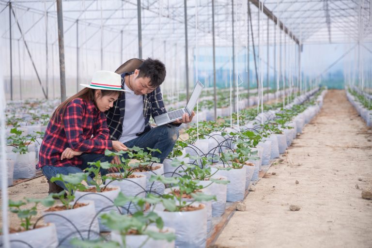 NRI farmers share knowledge of best agricultural practices