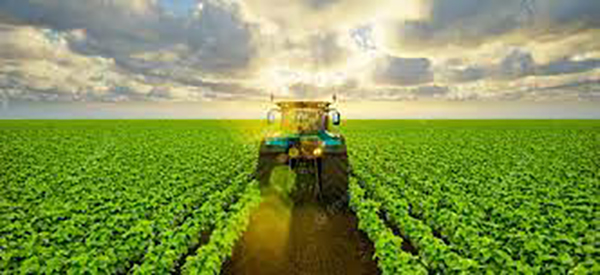 University of Adelaide announces new project to strengthen Indian agricultural sector