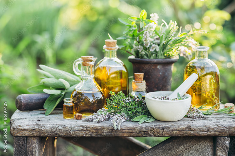 Ayurveda claims to slow down aging