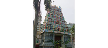 Thousands of Hindu devotees participate in ancient temple's consecration ceremony in Singapore