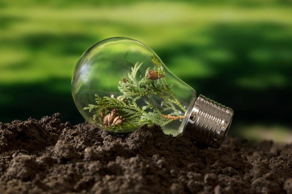 World Bank funds India’s Green Hydrogen drive for global leadership India's Green Hydrogen drive