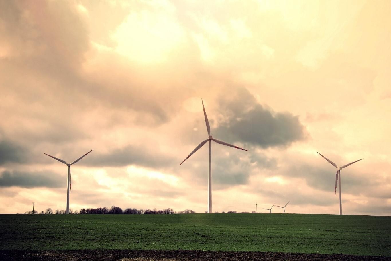 Adani Green Energy Unveils 250 MW Wind Power at World’s Largest Renewable Hub
