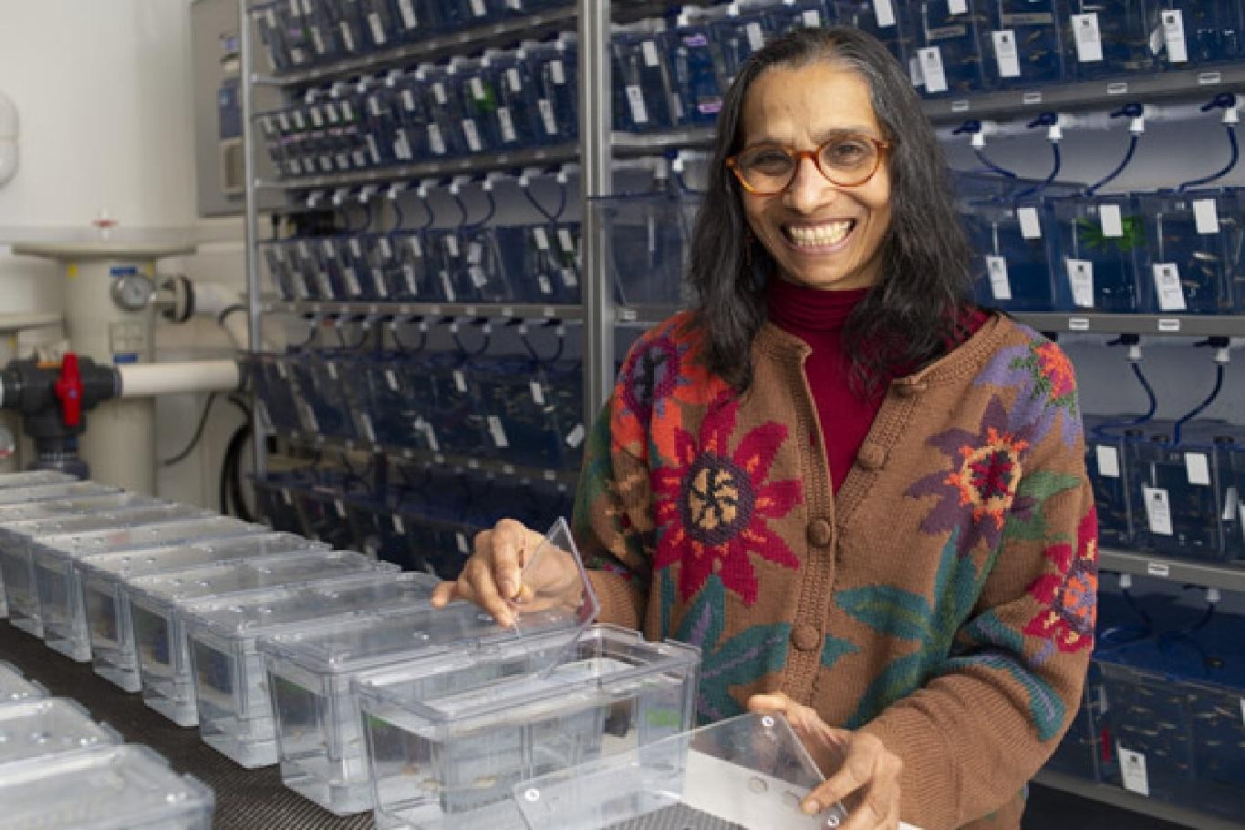 Indian-American Scientist Lalita Ramakrishnan Wins 2024 Robert Koch Prize for TB Research