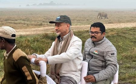 Jaishankar, Global Delegates Explore Kaziranga Before Summit