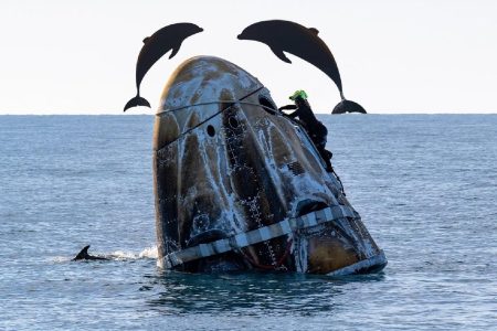 Sunita Williams’ homecoming marked by unexpected dolphin greeting