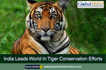 India Leads World In Tiger Conservation Efforts