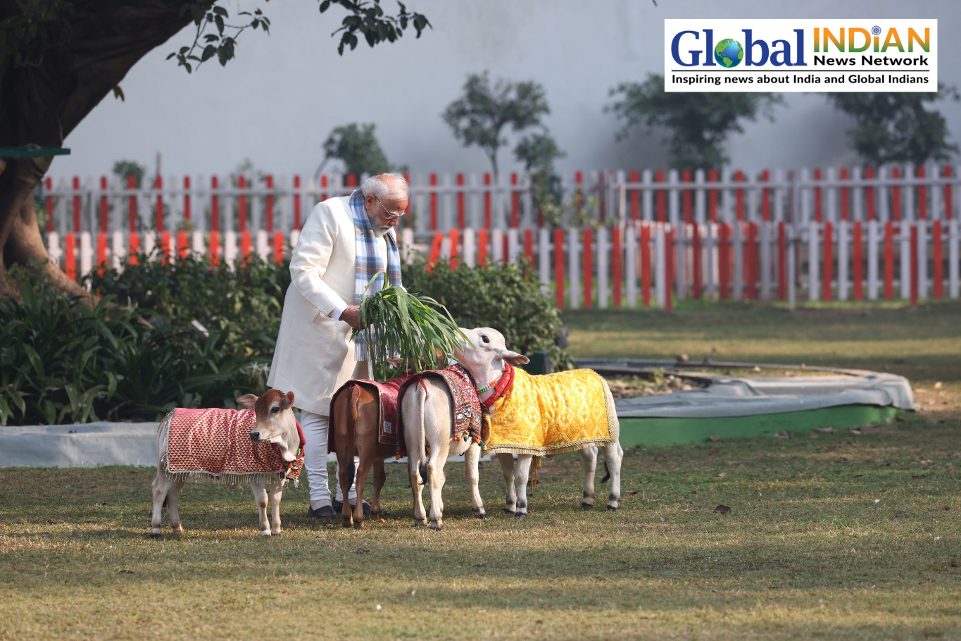  PM Modi Celebrates Makar Sankranti With Cows