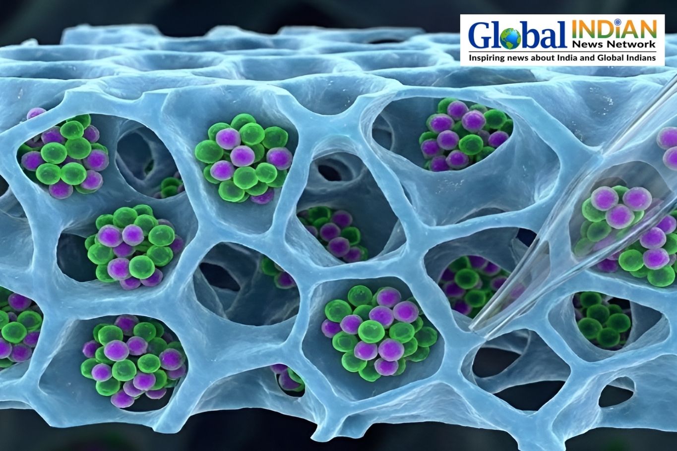 IIT Bombay Develops Safer T-Cell Recovery for Cancer