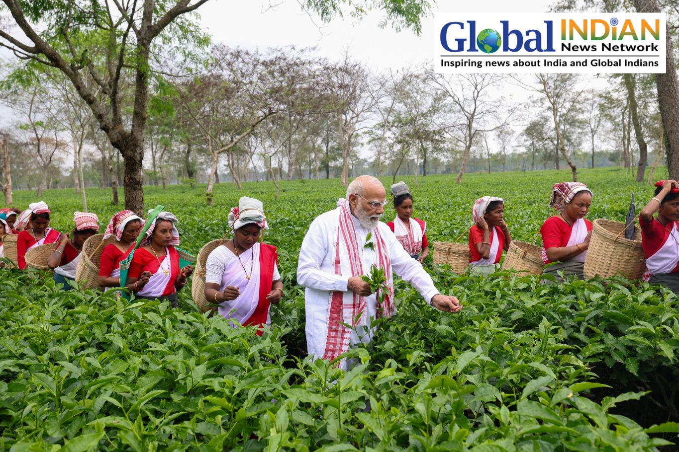 PM Modi Enjoys Assam Tea Garden, Plucks Leaves, Selfies